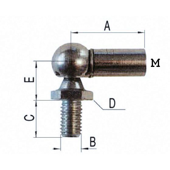 Articulation radiale