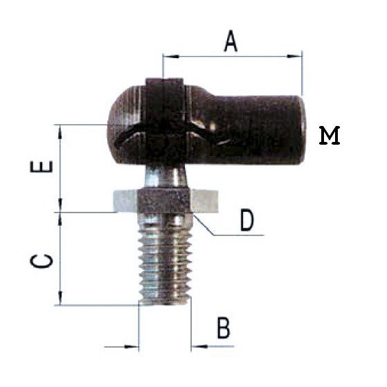 Articulation radiale